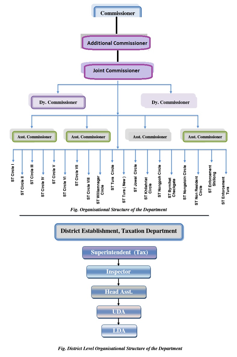 Organisational Chart
